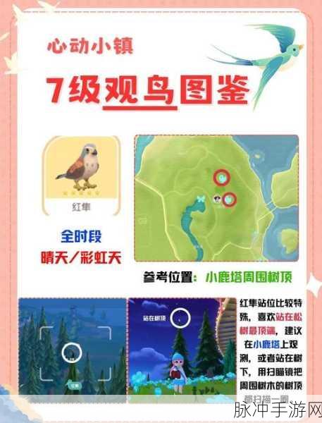 哈利波特手游深度攻略,球遁鸟的意外邂逅与温馨收养全解析