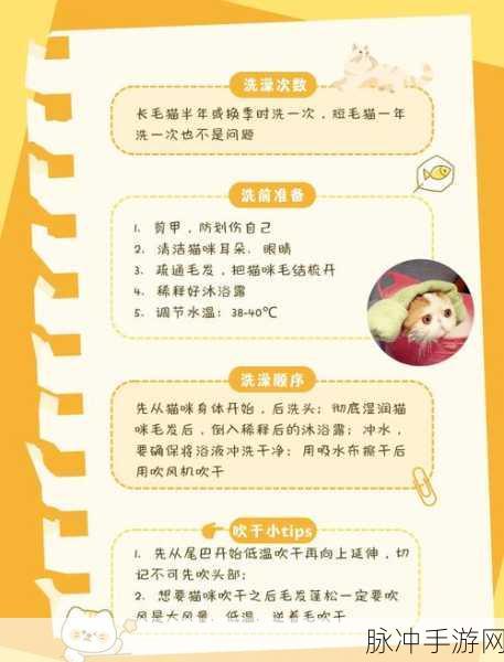 白猫计划，深度解析温泉升级材料获取与运用策略