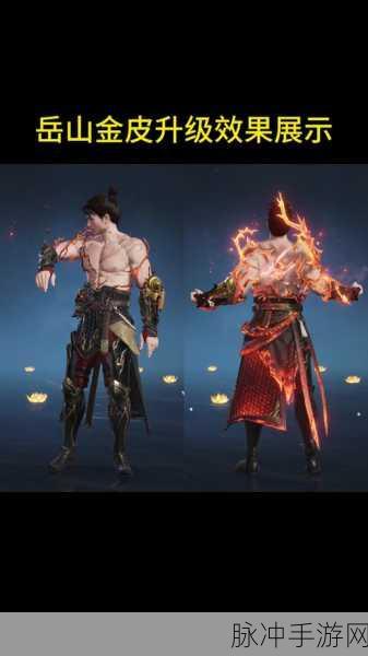 永劫无间岳山皮肤全景展示,深度剖析最新细节与独特魅力