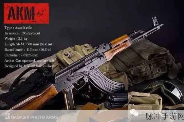 2025年春节前夕，绝地求生AKM与M16武器巅峰对决，谁将主宰战场沉浮？