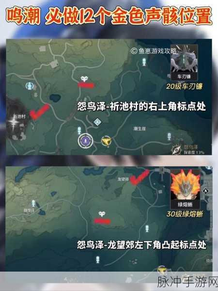 鸣潮异相声骸磐石守卫位置全解析与输出攻略