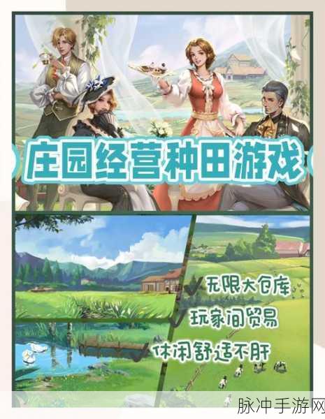 爸爸的农家,轻松解压的农业收割游戏全攻略