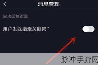 手游攻略，如何高效设置抖音自动回复私信功能