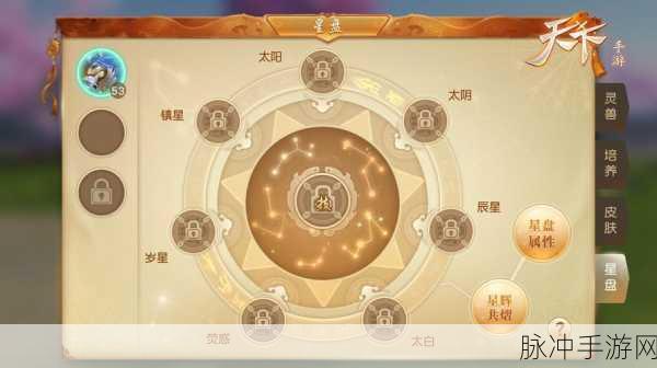 天下手游灵宠捕捉全攻略,解锁你的专属萌宠