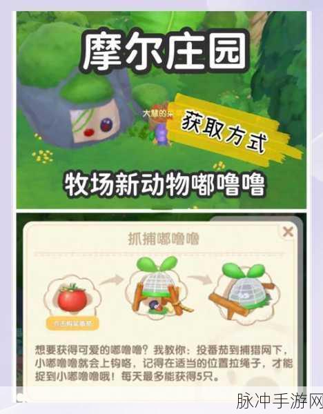 摩尔庄园手游羊毛获取与收集方法详解，轻松掌握羊毛的来源与收集技巧