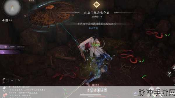 金蛇传奇,金庸群侠传书剑江山之秘境金蛇洞全面探秘攻略