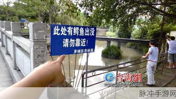妄想山海鳄鱼探寻之旅,虓鳄坐标位置全解析