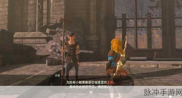 塞尔达传说王国之泪烦恼的萝莱尔任务详解攻略