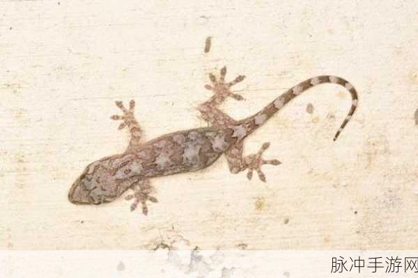 饥荒草壁虎特性全解析,生存技巧与高效应对策略