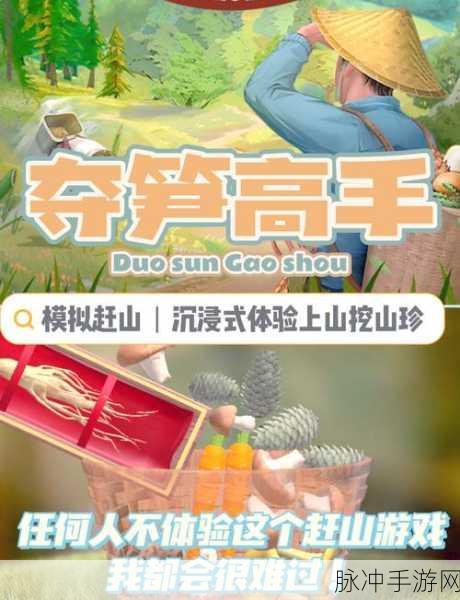 夺笋高手正下载,深度解析集模拟、经营、养成为一体的休闲手游
