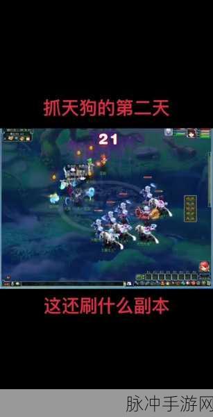 梦幻诛仙手游变异宠物刷新率深度解读与攻略详解，全面剖析如何提升捕捉稀有宠物的成功率