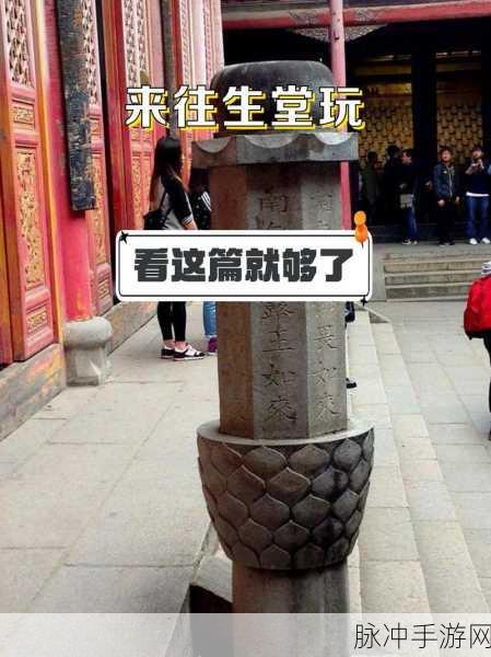 原神深度攻略,揭秘神秘的往生堂任务,助你轻松通关!