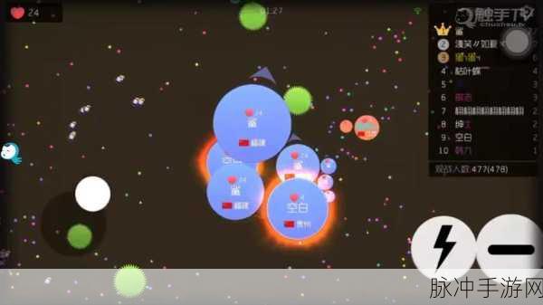 触手TV主播带团揭秘,球球大作战扫码进不去的真相与攻略详解