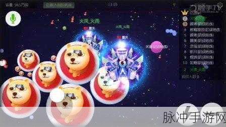 触手TV主播带团揭秘,球球大作战扫码进不去的真相与攻略详解