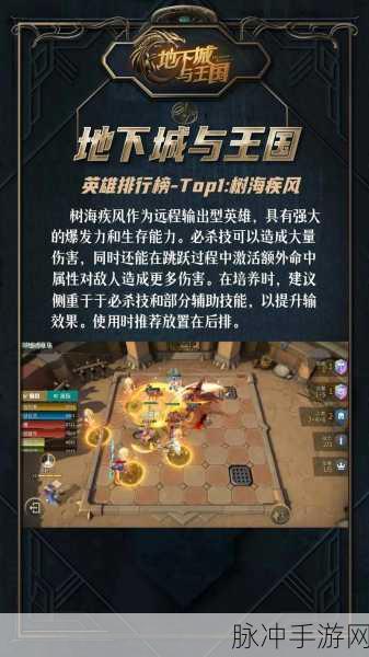 多多自走棋手游攻略,国王三段位晋升皇后之路