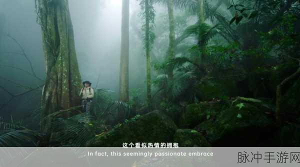 星球重启攻略,解锁强力金色武器的获取途径与秘诀探寻之道