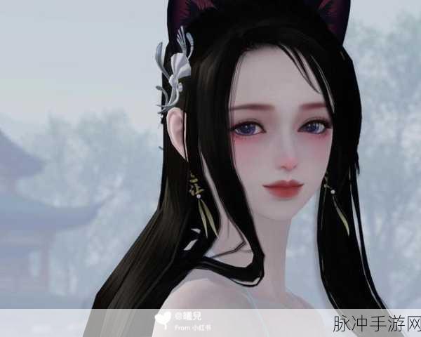 天涯明月刀手游预捏脸全攻略,打造你的专属江湖面容