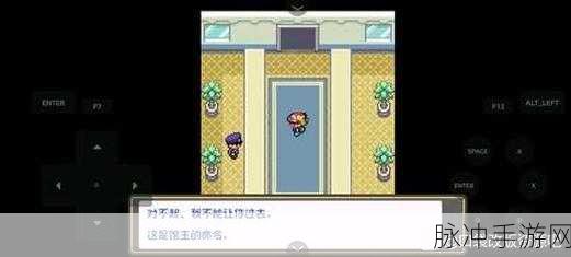 口袋妖怪燃之智,月见山路线深度攻略