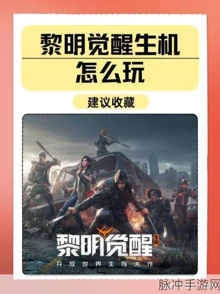 黎明觉醒生机职业全解析,12大职业选择与升级新攻略