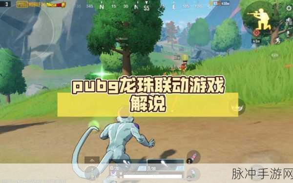 PUBG龙珠联动，超火爆多人竞技射击游戏全攻略