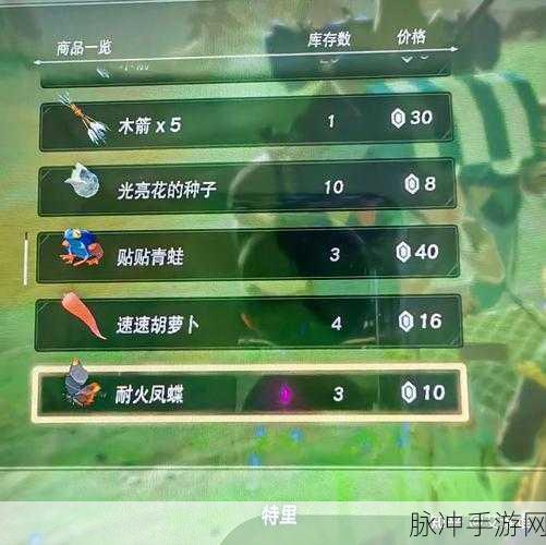 塞尔达传说王国之泪,高原驿站拍照全攻略