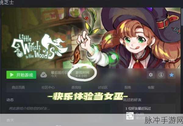 Steam上的巫婆与猎人,一场奇幻之旅的深度攻略