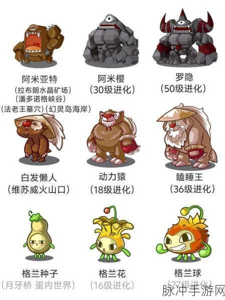洛克王国宠物快速升级全攻略，打造你的顶级战斗伙伴