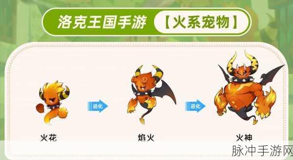 洛克王国宠物快速升级全攻略,打造你的顶级战斗伙伴