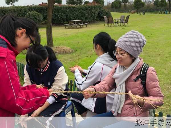 毁灭之猪下载安装,探索川关游戏的无限趣味与挑战