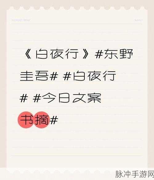 白夜行,我的世界里没有太阳,所以我不怕失去!深度手游攻略