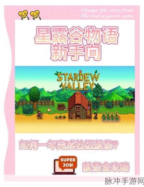 星露谷物语深度解析，Joja与献祭路线选择及高效资源管理策略