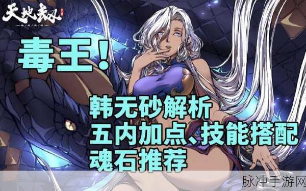 天地劫韩无砂魂石搭配全攻略，解锁角色潜能的钥匙