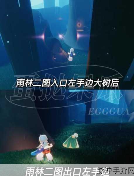 光遇手游探索指南，雨林神秘山洞小王子位置全揭秘