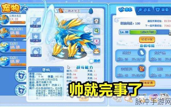 洛克王国手游深度攻略,暗影冰龙王技能学习全解析与提升技巧