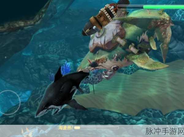 饥饿鲨鱼求生,畅游海底世界的模拟休闲新体验