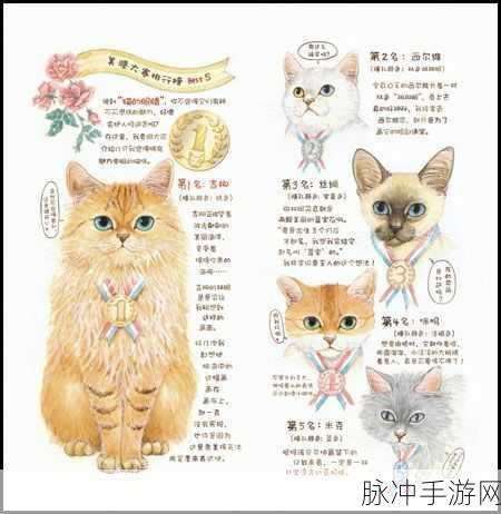 猫之城钓鱼成就与收藏品解谜全面汇总