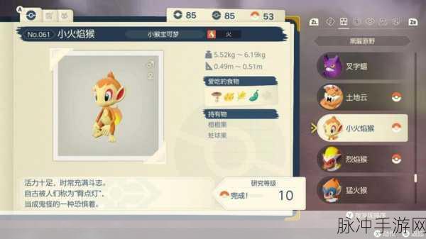 口袋妖怪复刻,猛火猴进化全攻略与全面解析
