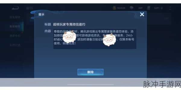 王者荣耀超核玩家尊享通道揭秘,解锁你的专属荣耀之旅