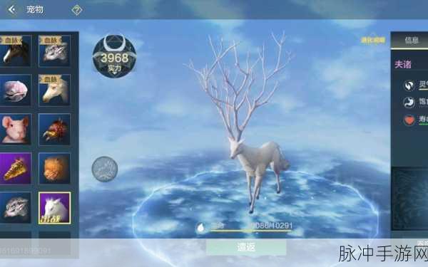 妄想山海全揭秘,灵巫铁铁神兽夫诸进化秘诀与极致战力探索