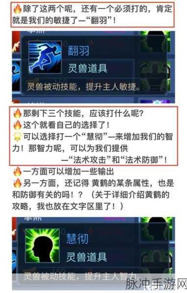 倩女幽魂手游魅者技能加点深度解析