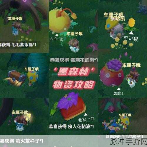 摩尔庄园之心头饰全攻略，揭秘黑森林之心头饰获取秘籍