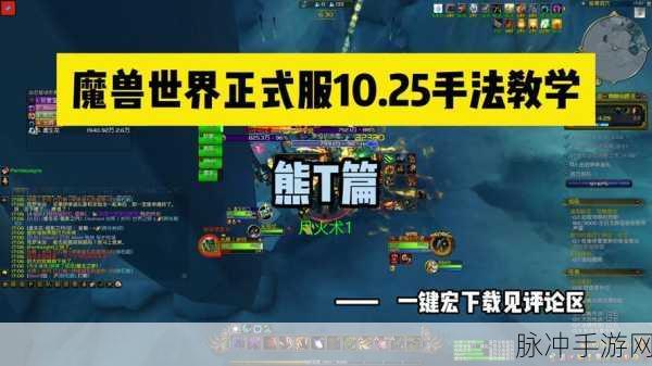 魔兽世界德鲁伊变熊任务全攻略，从入门到精通