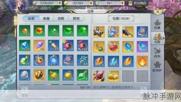 镇魔曲手游影刹职业深度解析，装备搭配与属性技能攻略