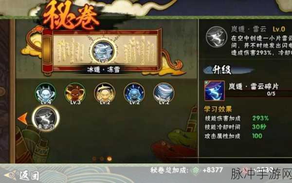 火影忍者手游秘卷选择指南,哪个秘卷技能最适合你?