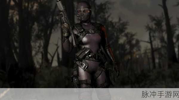 辐射4服装选择攻略，哪款衣服更好看？详细图解对比推荐