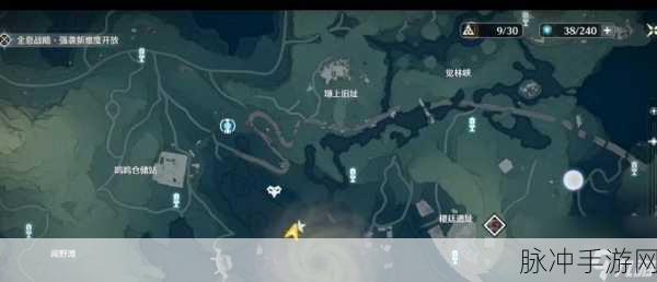 天谕手游深度探索,三海鸟位置全面揭秘,助你高效收集攻略