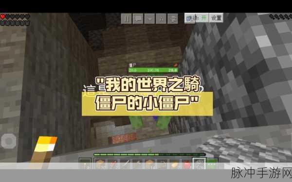 我的世界,僵尸笼改造之旅的深度探索与攻略