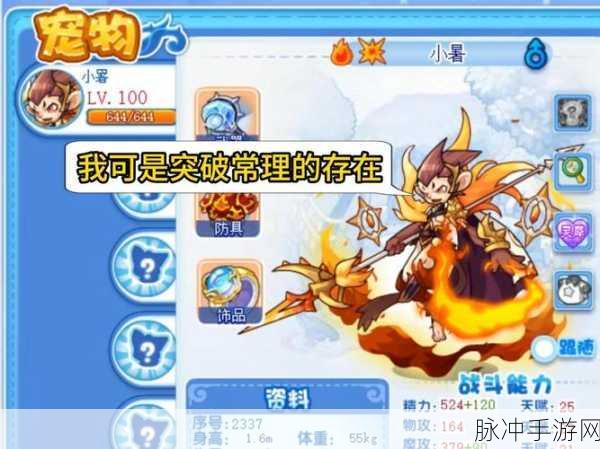 洛克王国手游深度攻略,宠物换肤大赏全解析