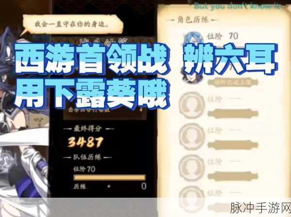 天地劫首领挑战，阿玛菲特终极攻略详解