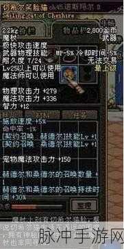 DNF手游热门宠物深度揭秘，切希尔笑脸猫实力与萌力全解析